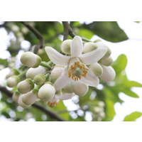 http://www.xacost.cn/images/companyimg/615.png
